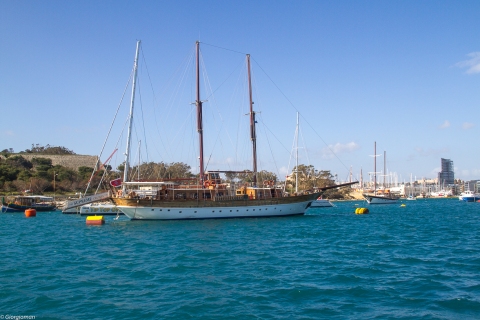 C7D_1195